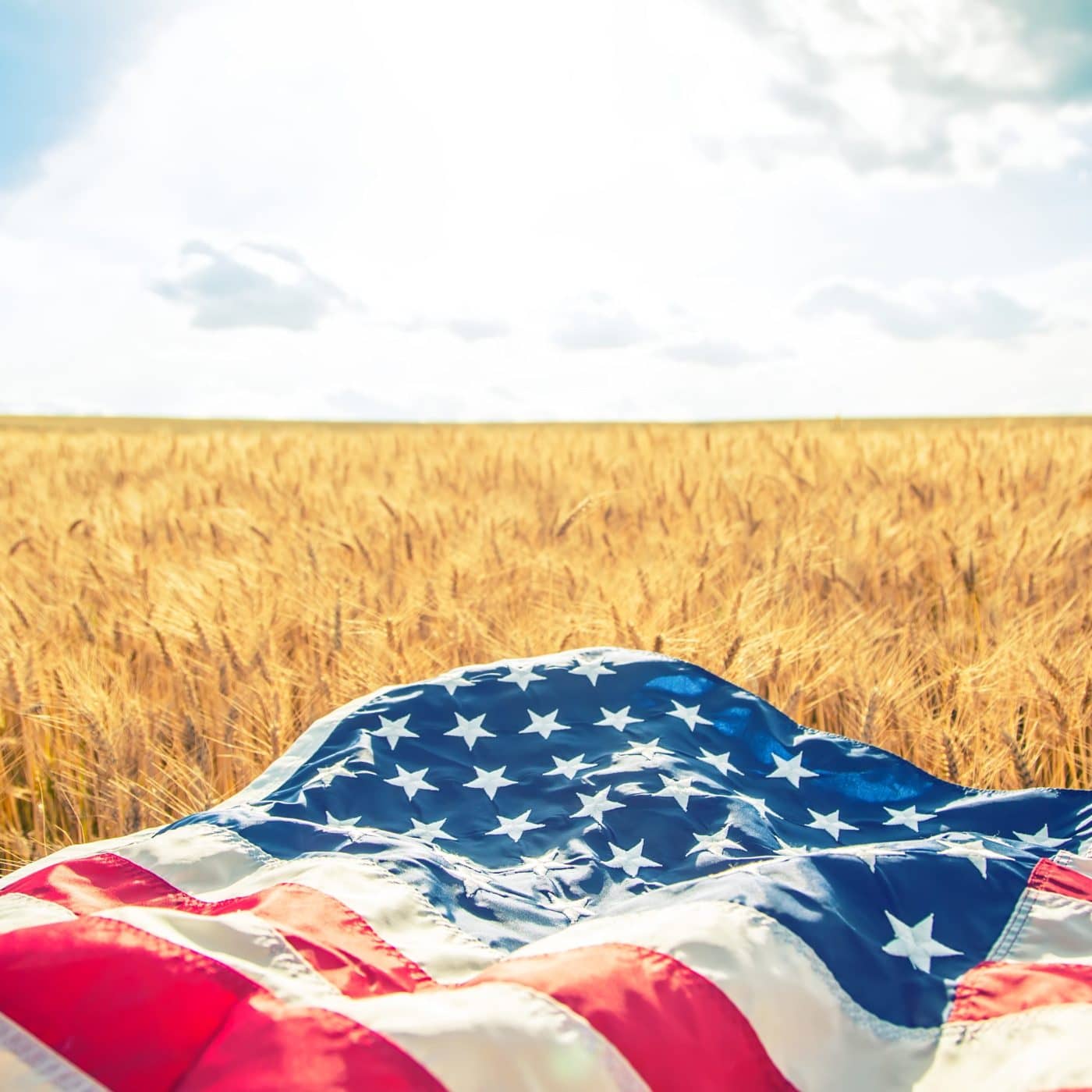 Report contends that US climate policy will ‘fail the farm’