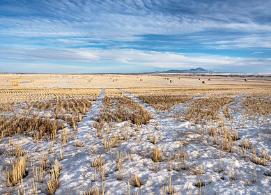 Wood Buffalo on alert as Alberta’s water crisis worsens