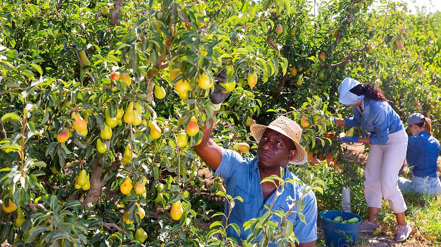 HOMEF engages Nigerian farmers in agro-ecological and bio-fertilizer training
