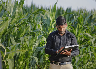 India to cut fertilizer subsidy by 13%