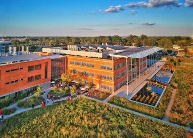 Danforth Center and Ethiopian Institute receive teff development grant