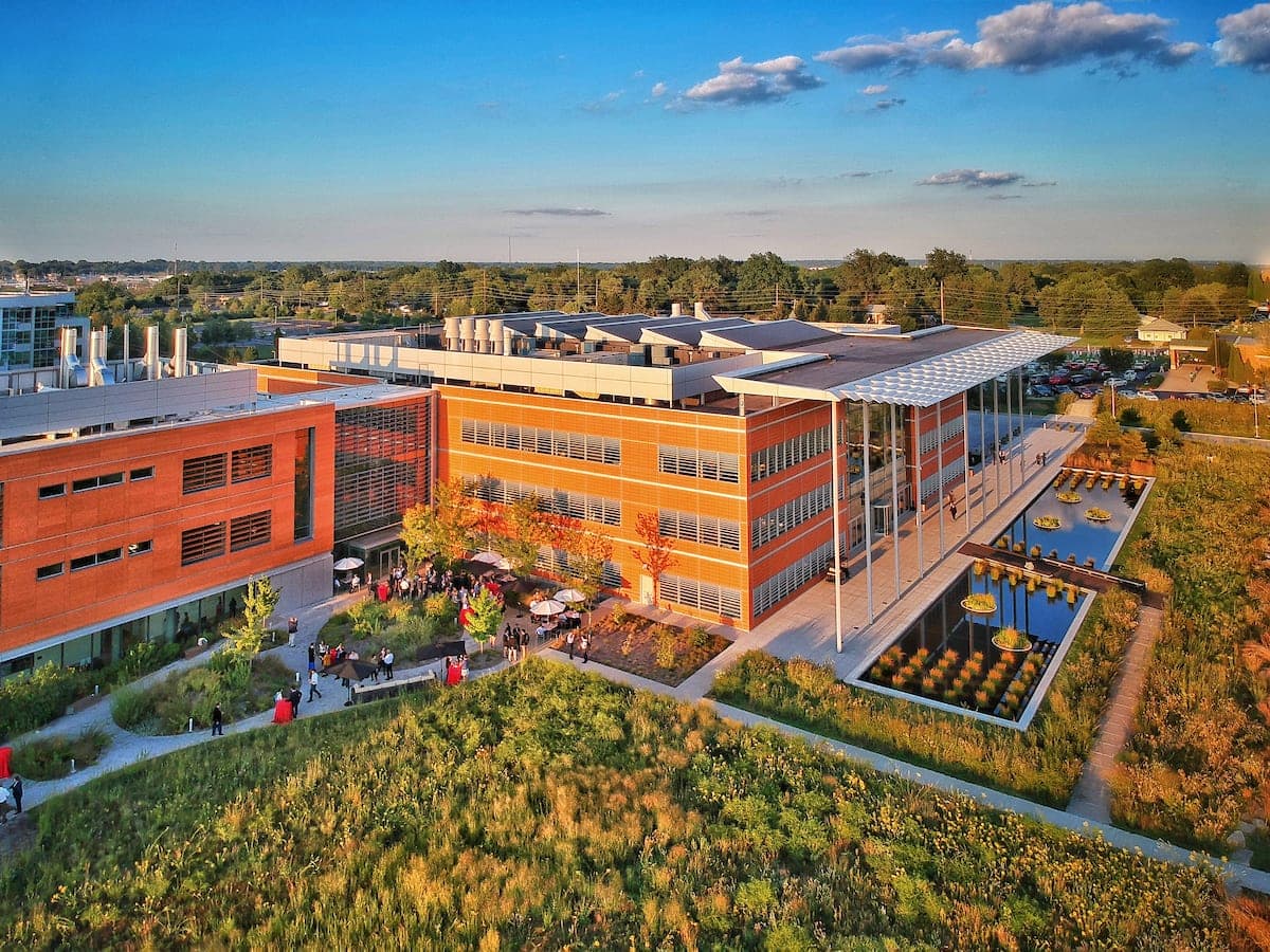 Danforth Center and Ethiopian Institute receive teff development grant