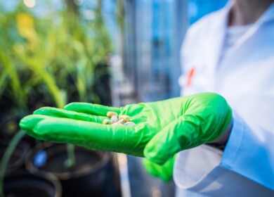 Exclusive: Inari’s Ron Wulfkuhle on super seeds and agricultural sustainability