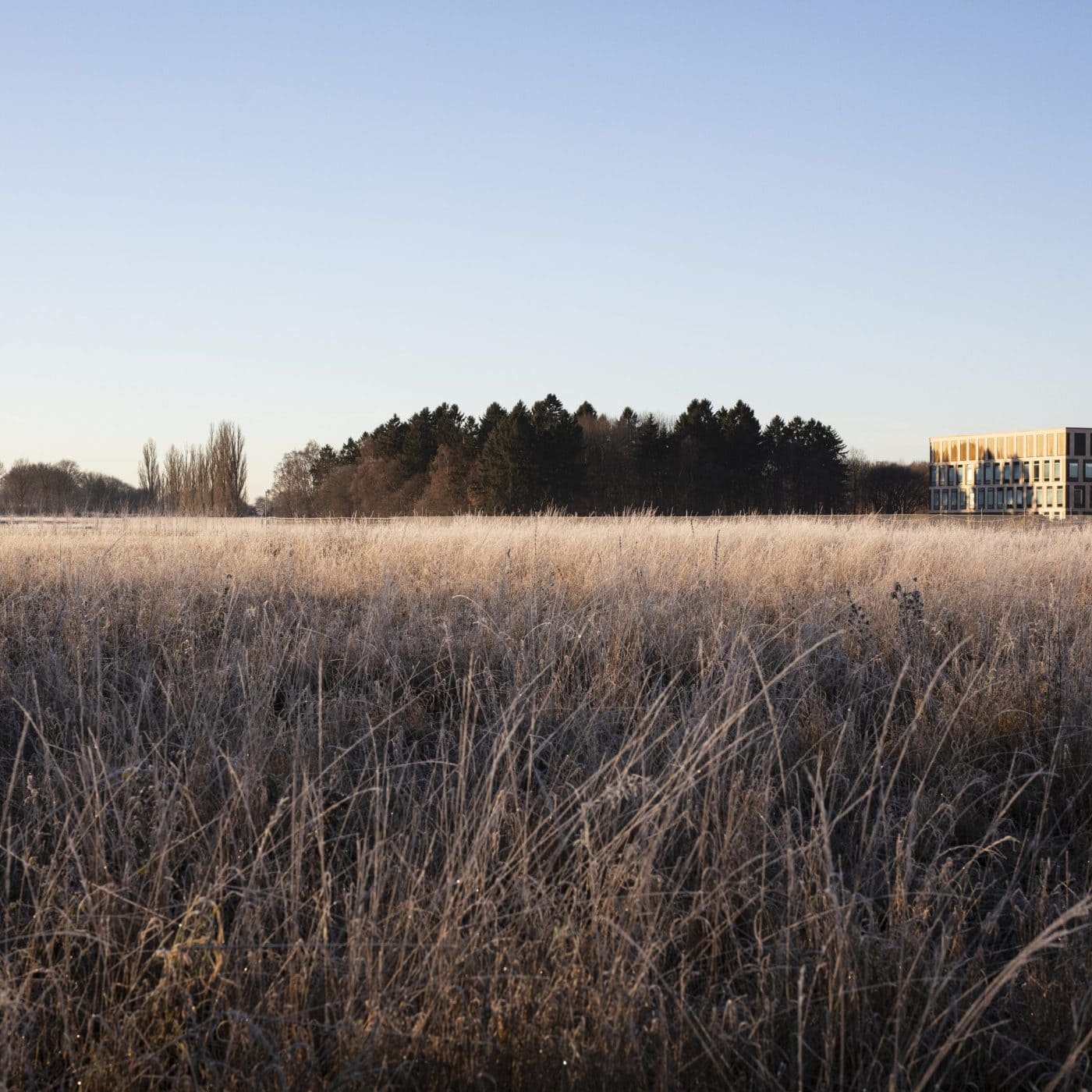 FMC forges partnership with Novonesis