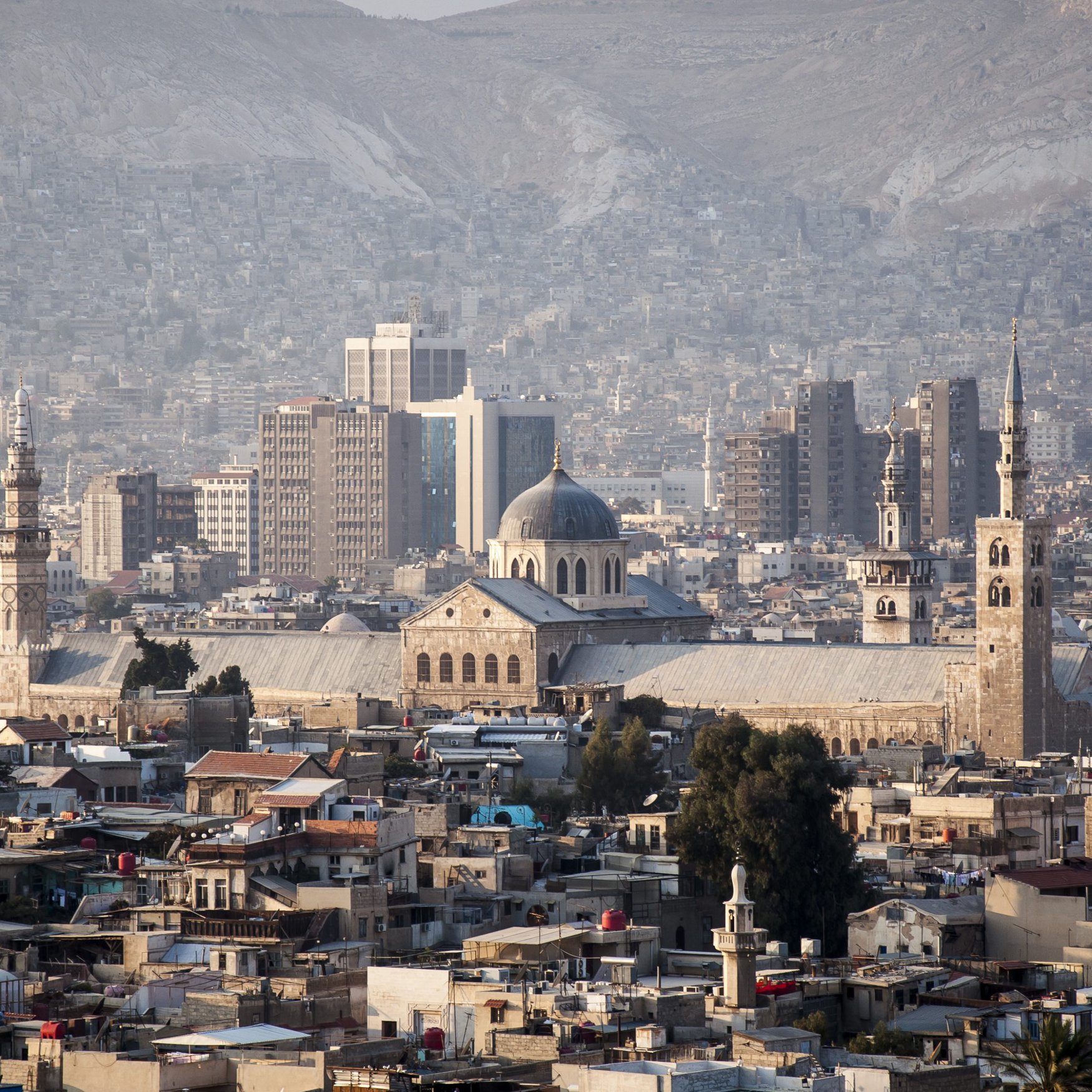 Syria and India discuss agricultural cooperation