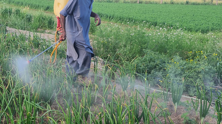 Pakistan’s fertilizer industry remains steady amid global volatility