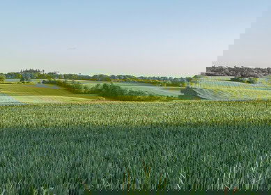 NitroVolt raises €750,000 for green ammonia tech