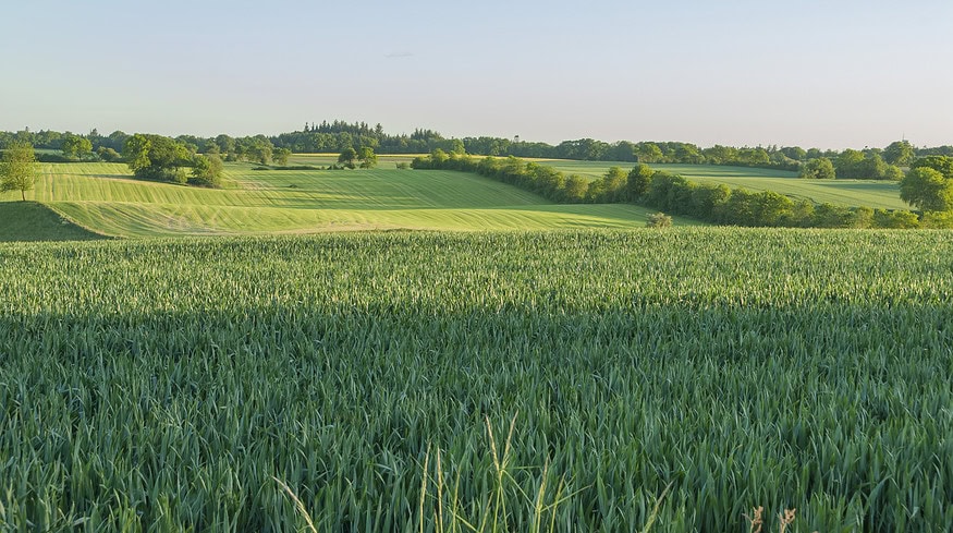 NitroVolt raises €750,000 for green ammonia tech