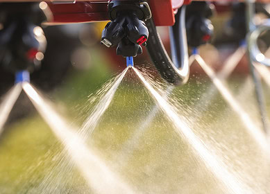 Reworking fertilizer management could slash ammonia pollution from key crops – study