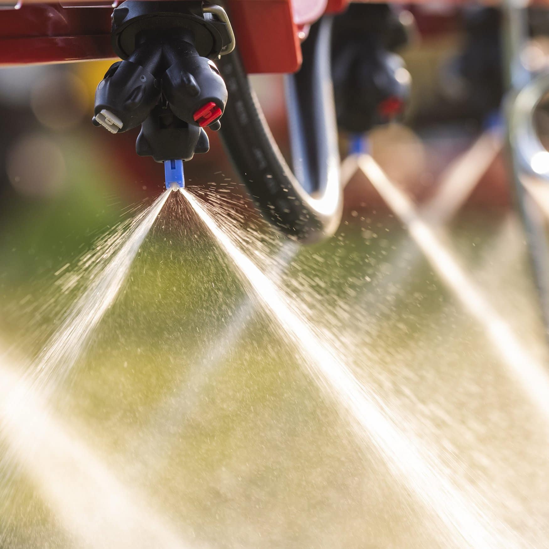 Reworking fertilizer management could slash ammonia pollution from key crops – study