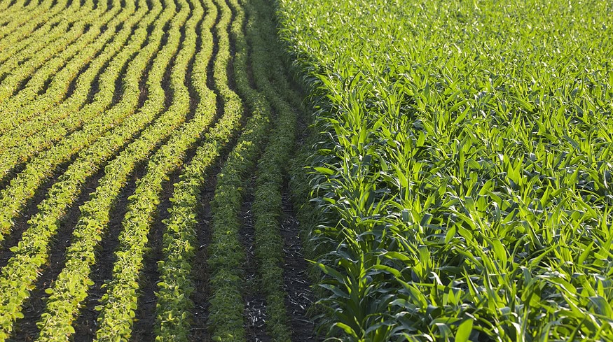 Cargill featured on Fortune’s list of America’s most innovative companies
