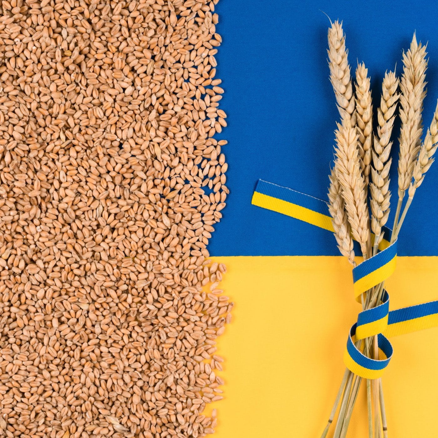 Ukraine expecting lower grain harvest this year