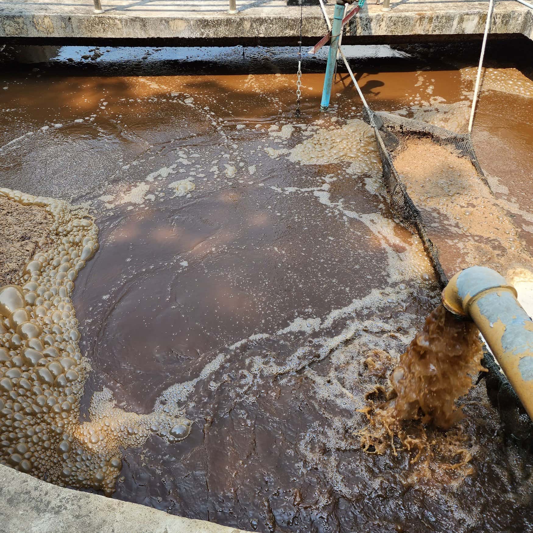 Legal action aims to halt toxic fertilizer practices in US