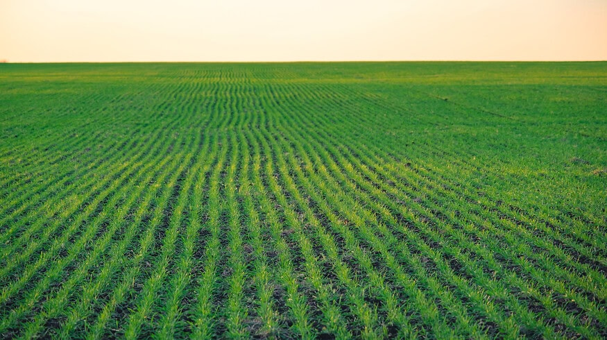 UPM Biochemicals launches biostimulant range