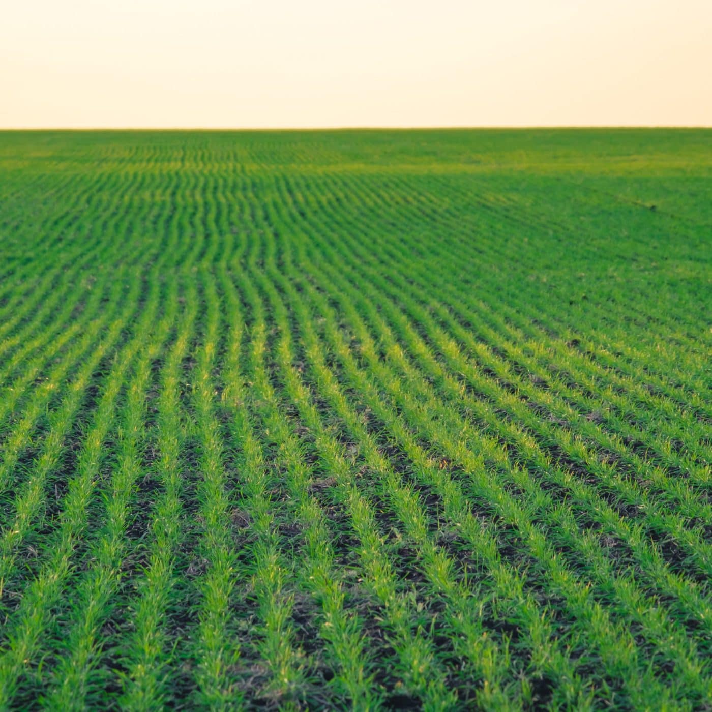 UPM Biochemicals launches biostimulant range