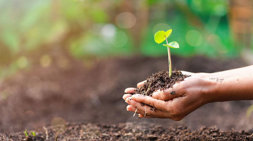 OCP Group promotes soil health and sustainable agriculture