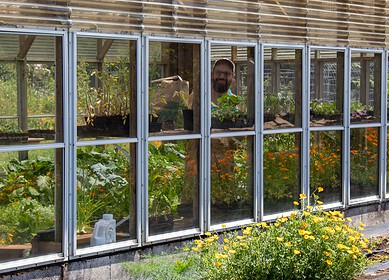 Nisqually Valley’s Cosmic Carrot Farm innovates with eco-friendly cropping system