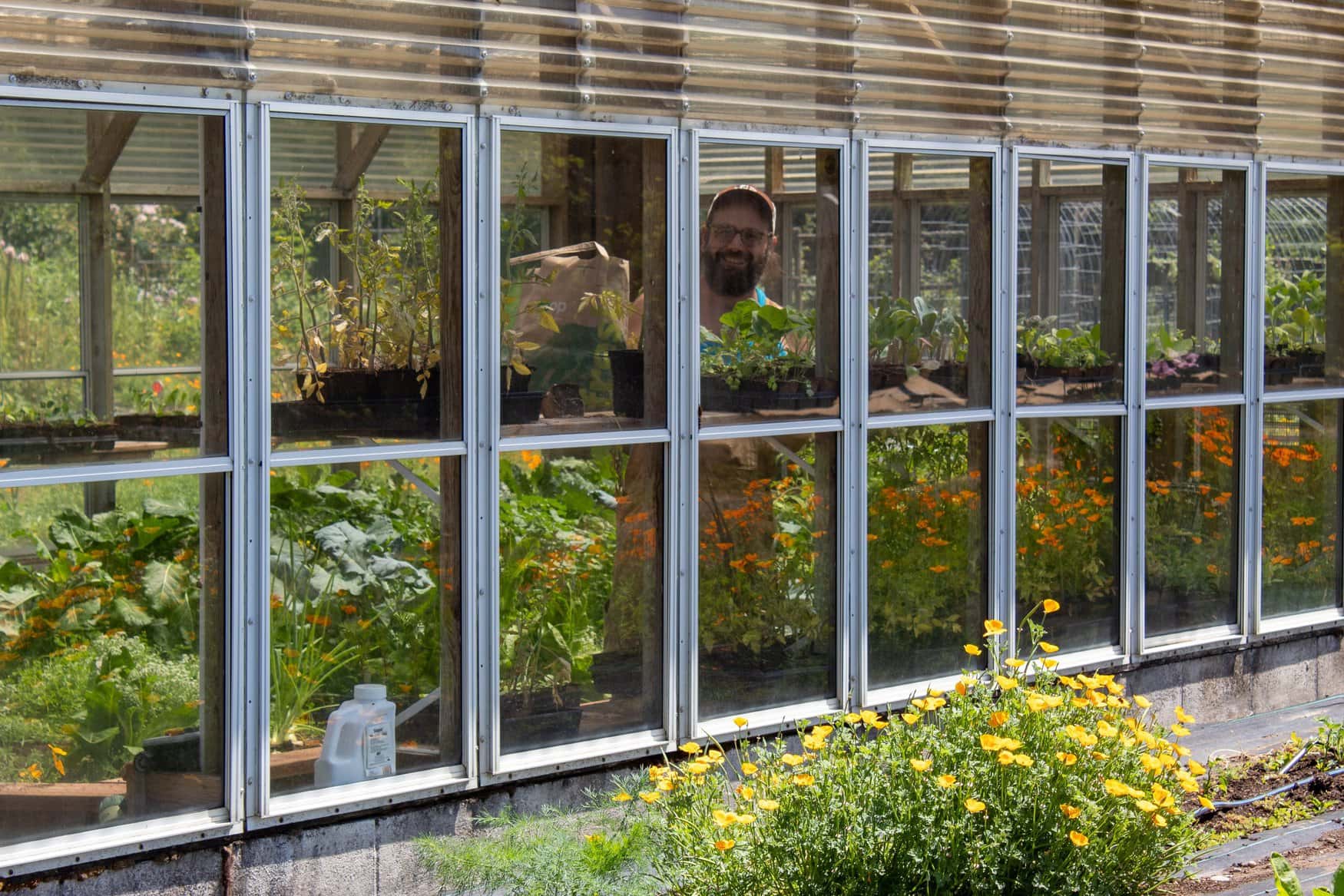 Nisqually Valley’s Cosmic Carrot Farm innovates with eco-friendly cropping system