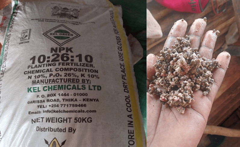 Kenyan President demands compensation for farmers suffered from fake fertilizer
