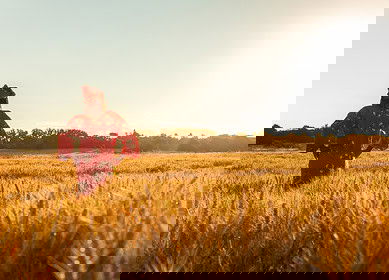 Kenyan farmers receive $2mn boost for fertilizer access