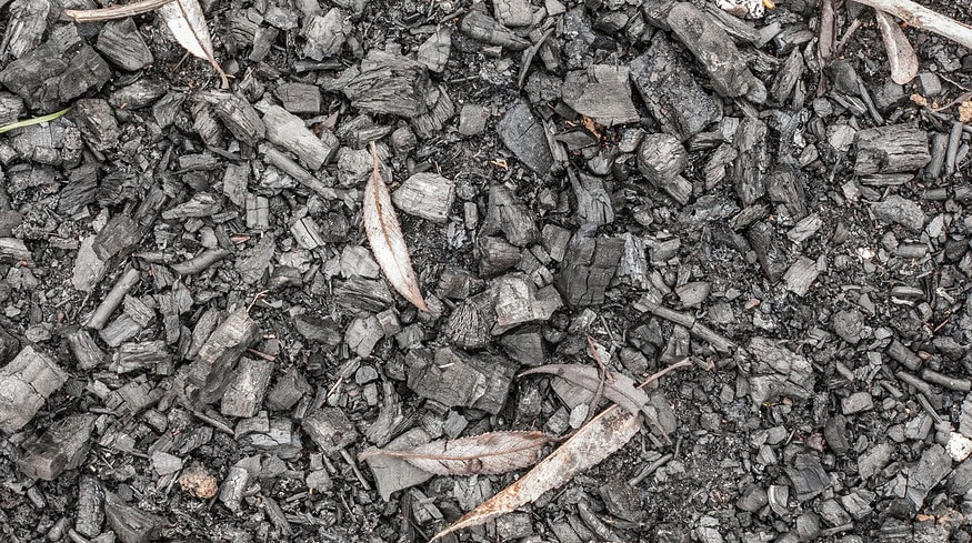 Biochar revives as a farming practice that could boost climate efforts