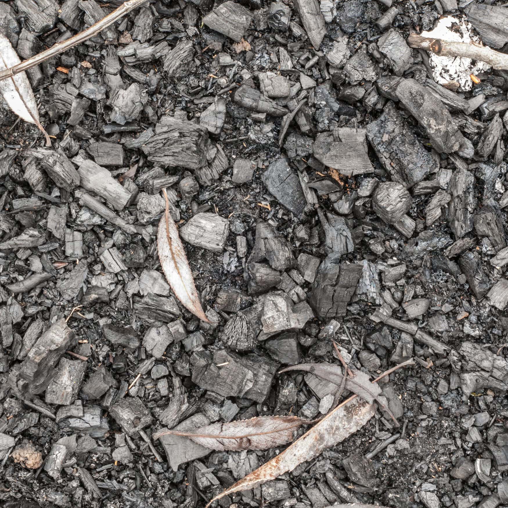 Biochar revives as a farming practice that could boost climate efforts