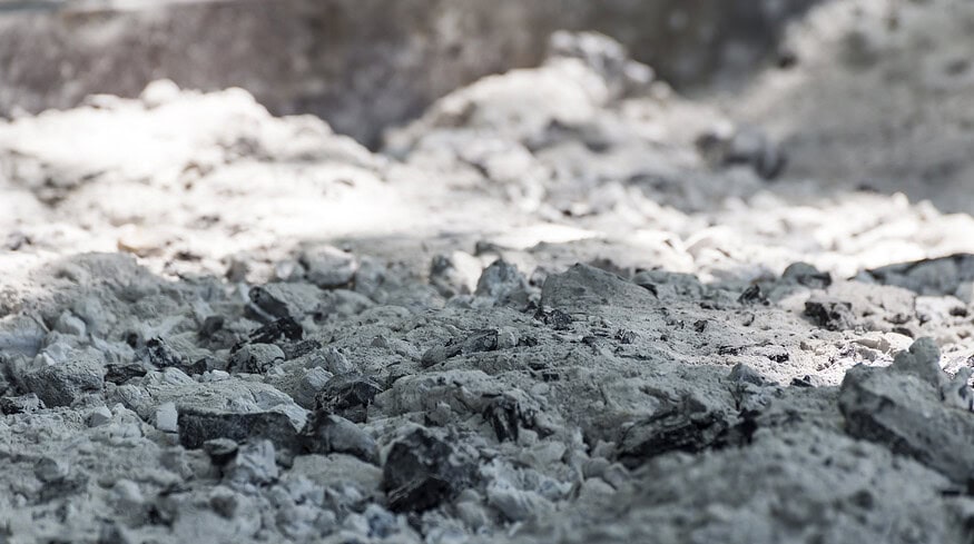 WasteX taps biochar technology to boost crop yields in Philippines