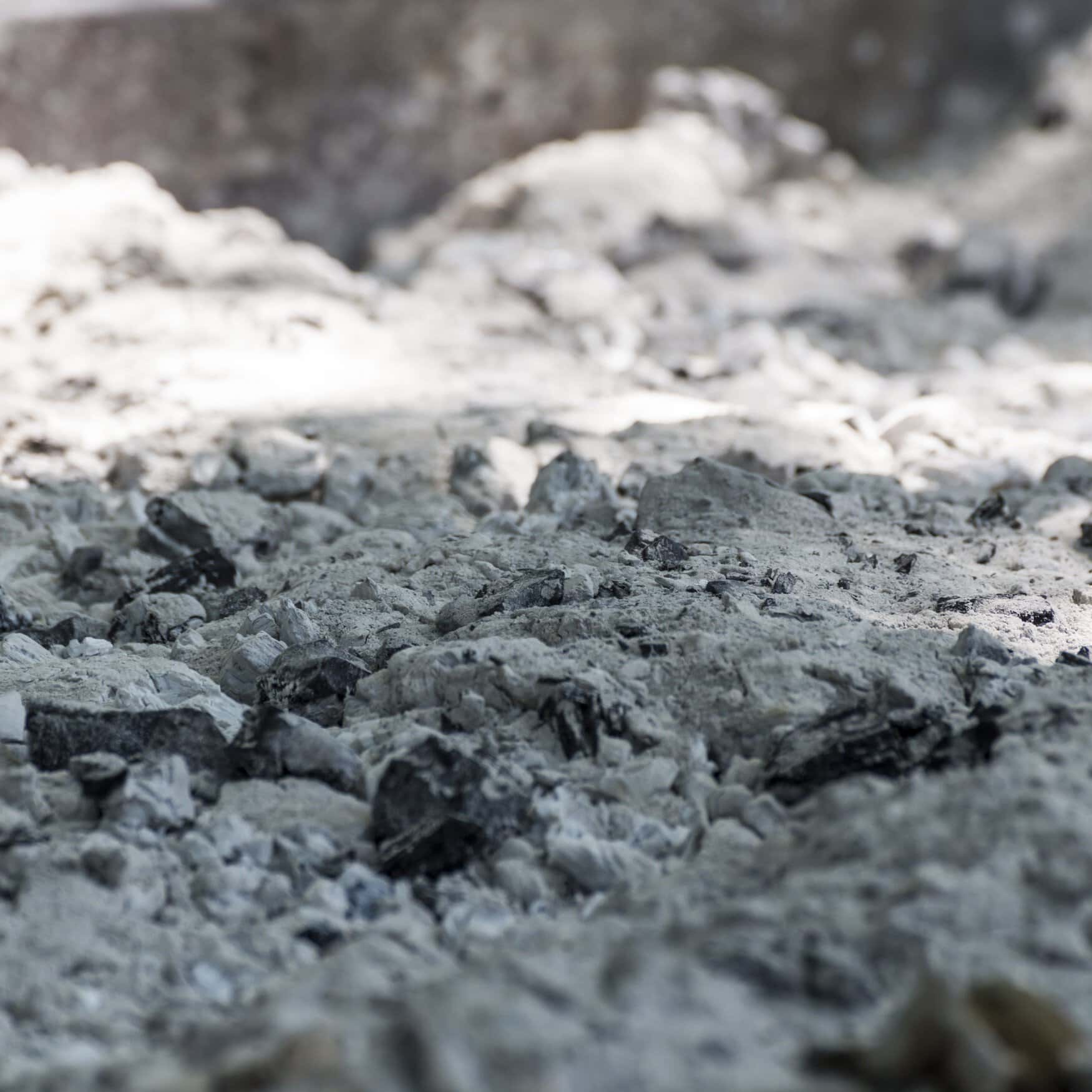 WasteX taps biochar technology to boost crop yields in Philippines