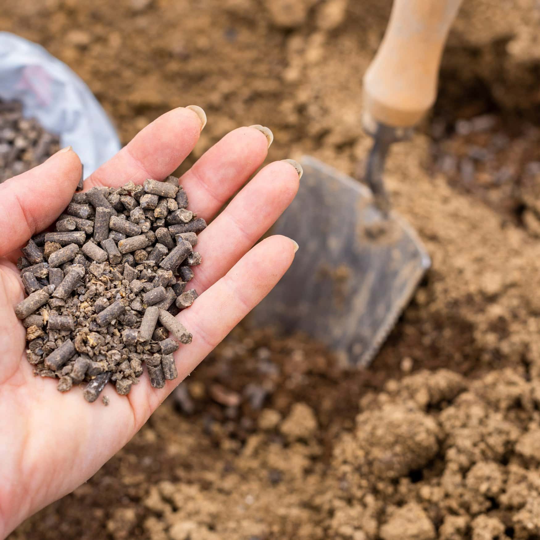 US producer makes organic fertilizer breakthrough with the new pellet technology