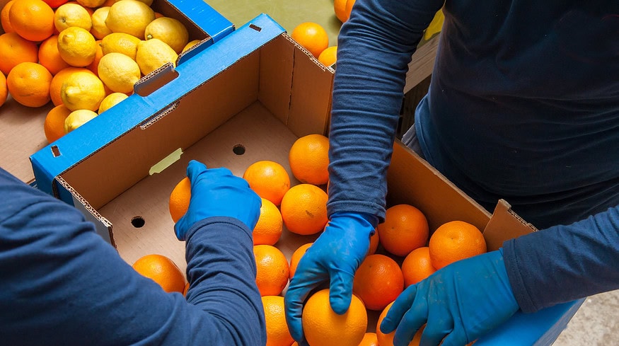 AgroFresh bolsters global reach with acquisition of Pace International