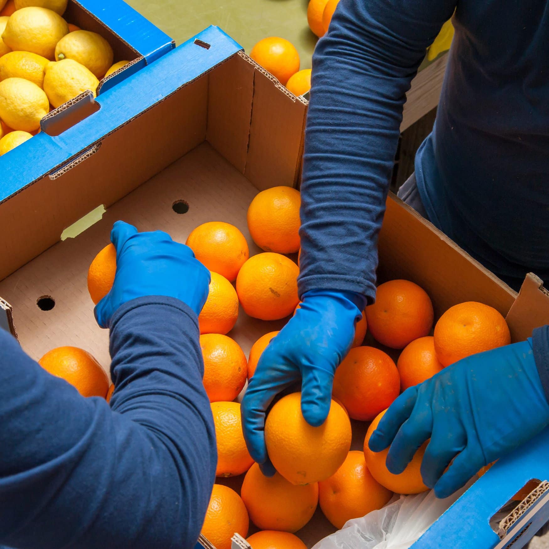 AgroFresh bolsters global reach with acquisition of Pace International