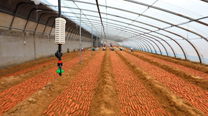 Reliable electricity supply supports farming industry in Gansu