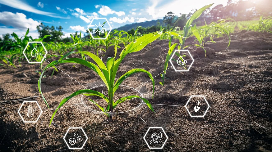 Precision agriculture helps to reduce nitrogen levels and protects the environment