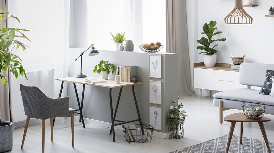 Thriving under fluorescent lights: the best office plants for your desk