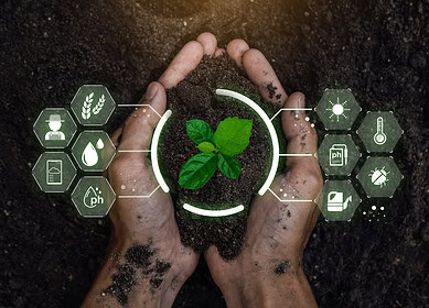 New fertilizer recommendation tool aims to boost farm profitability