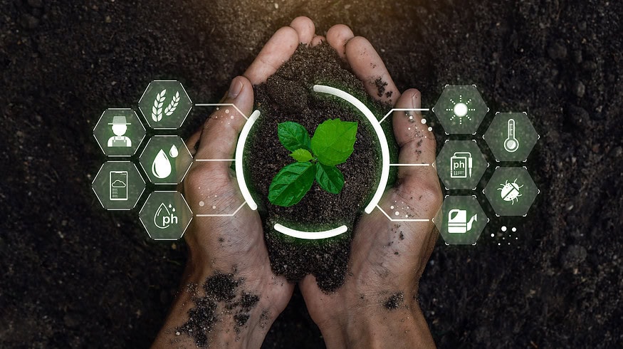 New fertilizer recommendation tool aims to boost farm profitability
