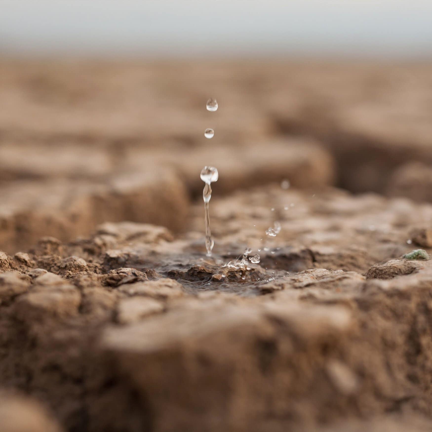 Western farmers turn to technology to overcome aridity and drought