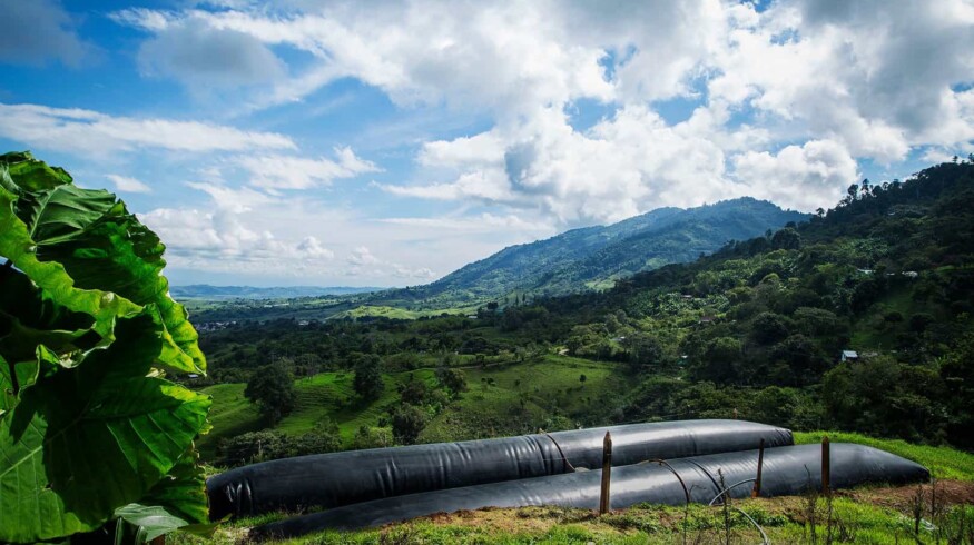 Sistema.Bio plans installing 25,000 biogas units in India