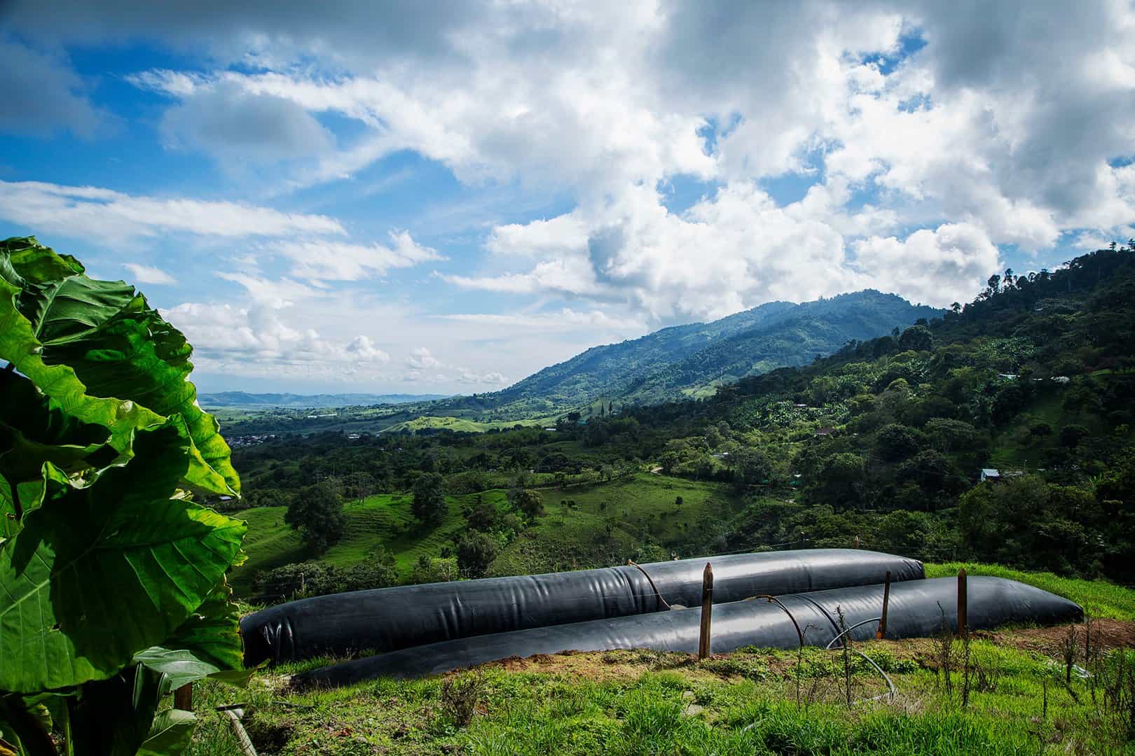 Sistema.Bio plans installing 25,000 biogas units in India