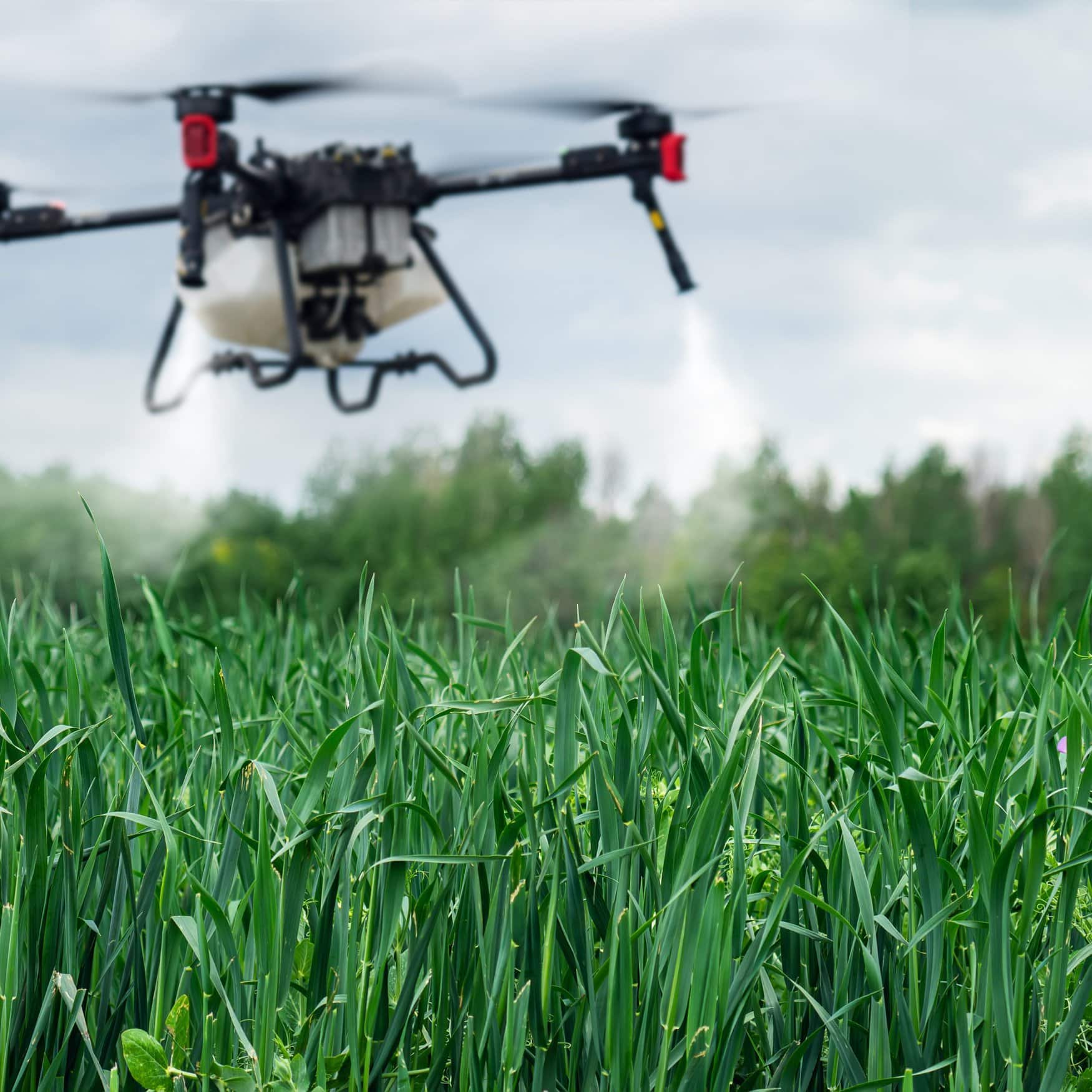 Selective spraying may help in managing resistant weeds