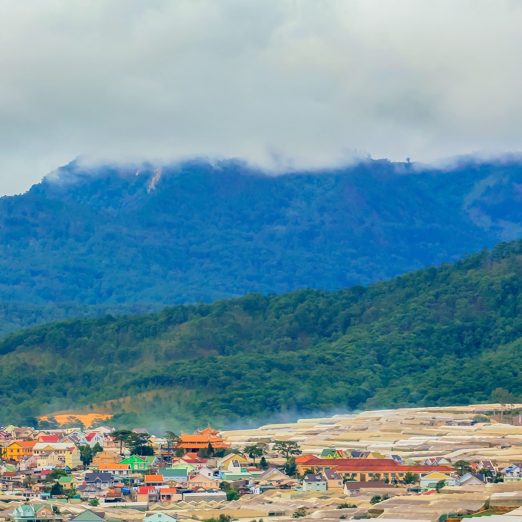 Lam Dong develops circular agriculture