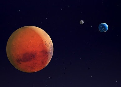 Ancient Maya agricultural practices could be the key to growing vegetables on Mars