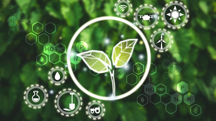 Smart agriculture empowers vegetable growers in east China