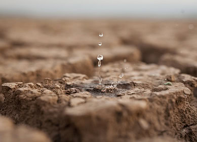 Zimbabwe acknowledges it was not ready for drought caused by El Niño