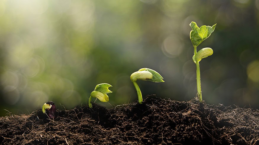 Big Idea Ventures backs PlantSustain to revolutionize plant protection industry