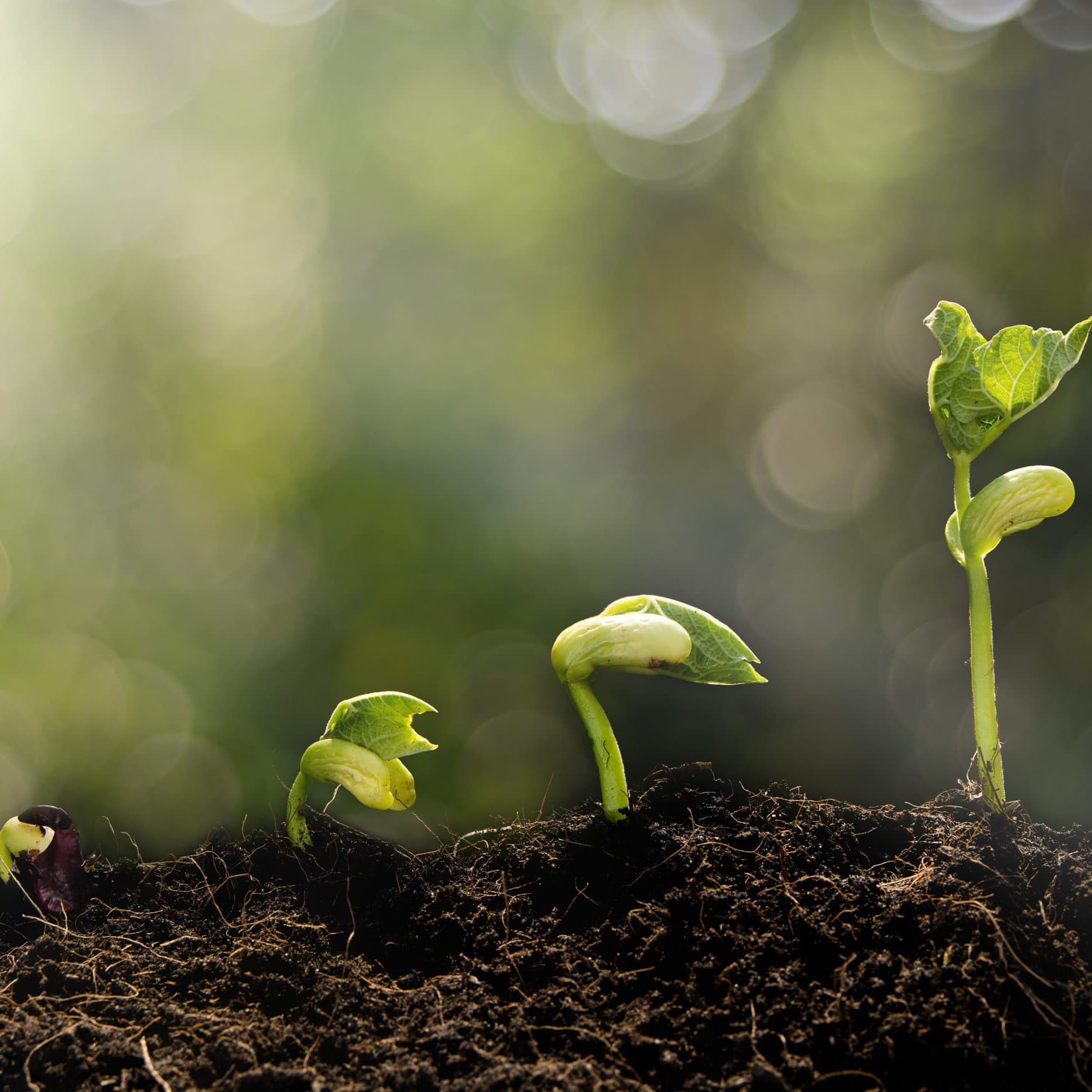 Big Idea Ventures backs PlantSustain to revolutionize plant protection industry