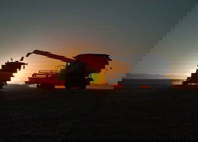 Lebanese farmers accelerate harvest amid border tensions