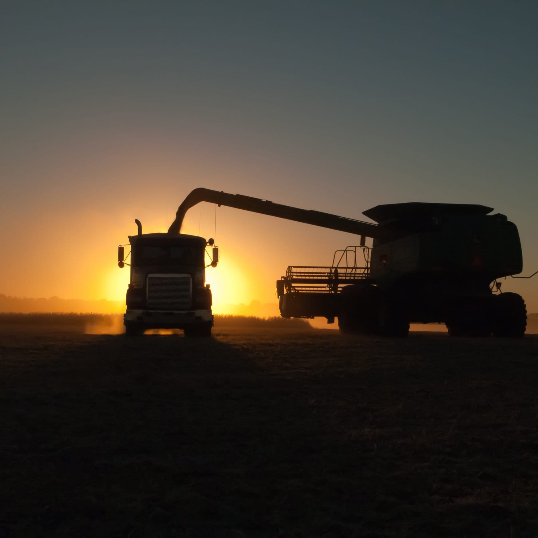 Lebanese farmers accelerate harvest amid border tensions