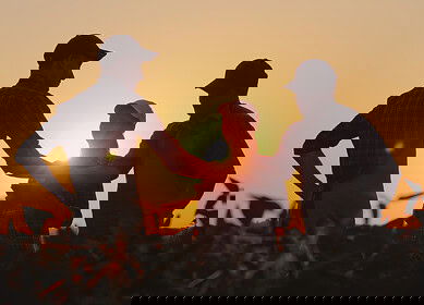 AgriNovus Indiana connects college students to agriculture careers