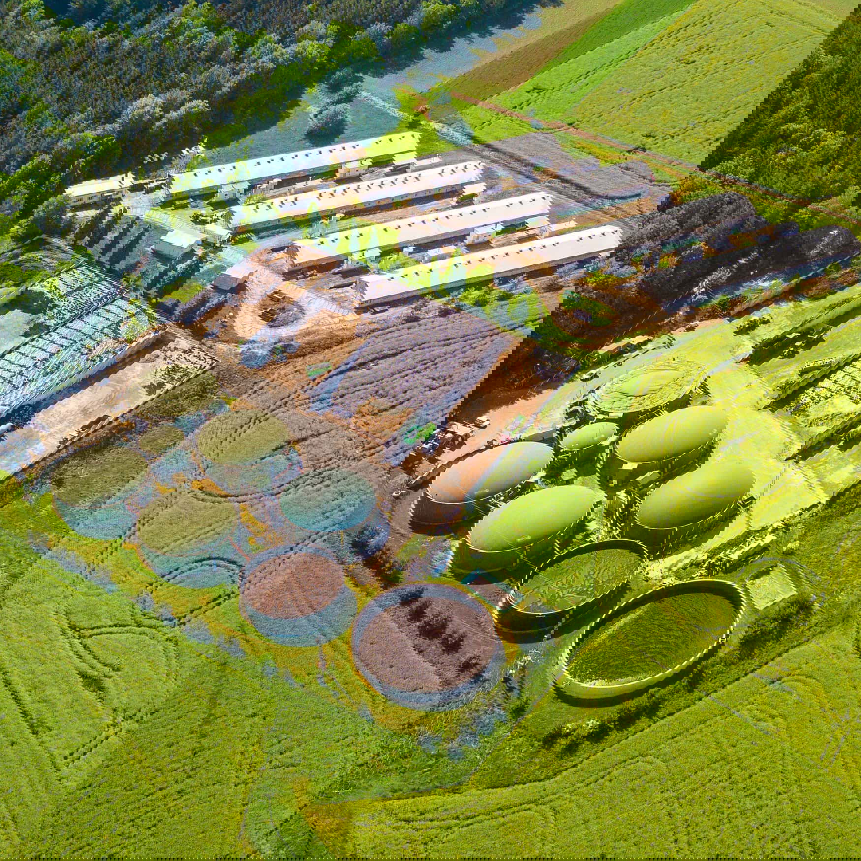 Leadership change at Anaergia: Assaf Onn steps in as acting CEO